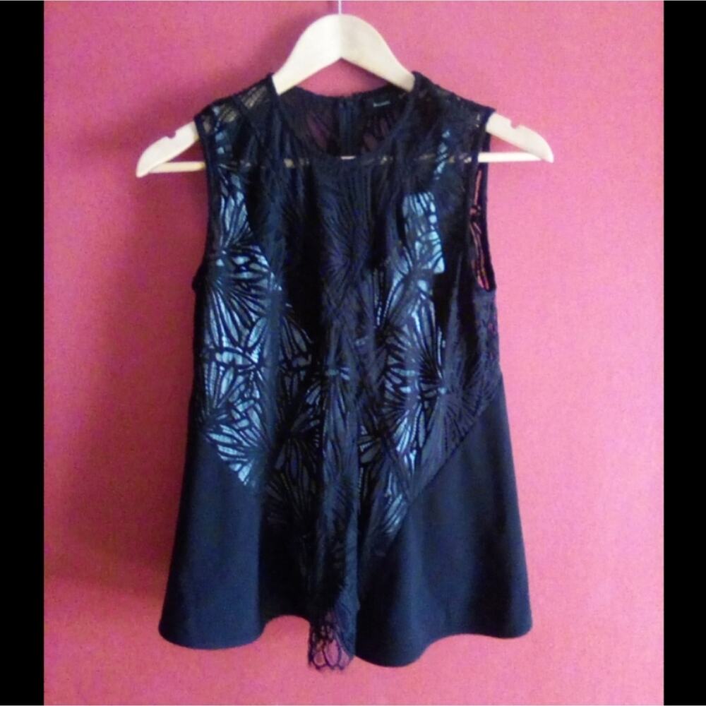 NWT Proenza Schouler sleeveless sheer lace top with camisole Gretta Luxe 2